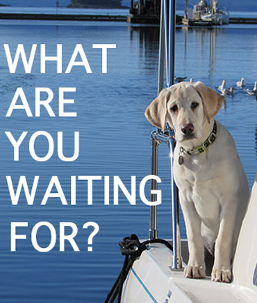 Brandi Dog says What are you waiting for? Book a tour!