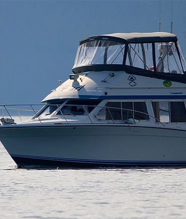 The Pearl 31-ft cabin cruiser for Juneau Whale Watching and Sport Fishing Tours